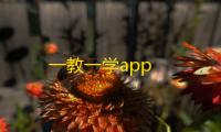 一教一学app